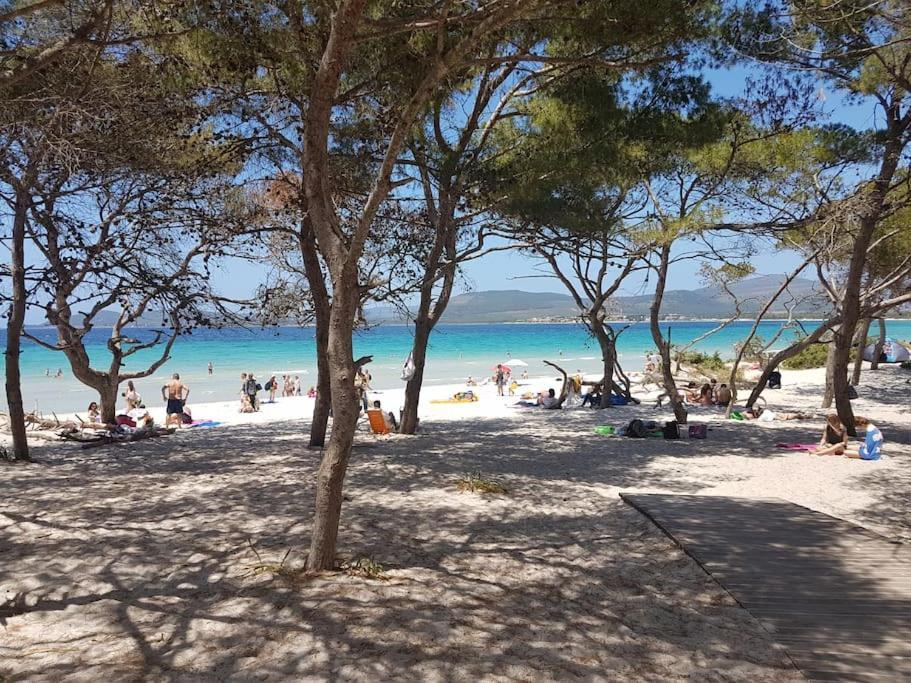 La Perla Bianca - Alghero Lido, Vicino Al Mare 外观 照片